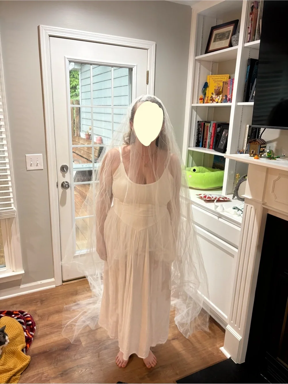 White Bridal Veil with Long Cathedral Train